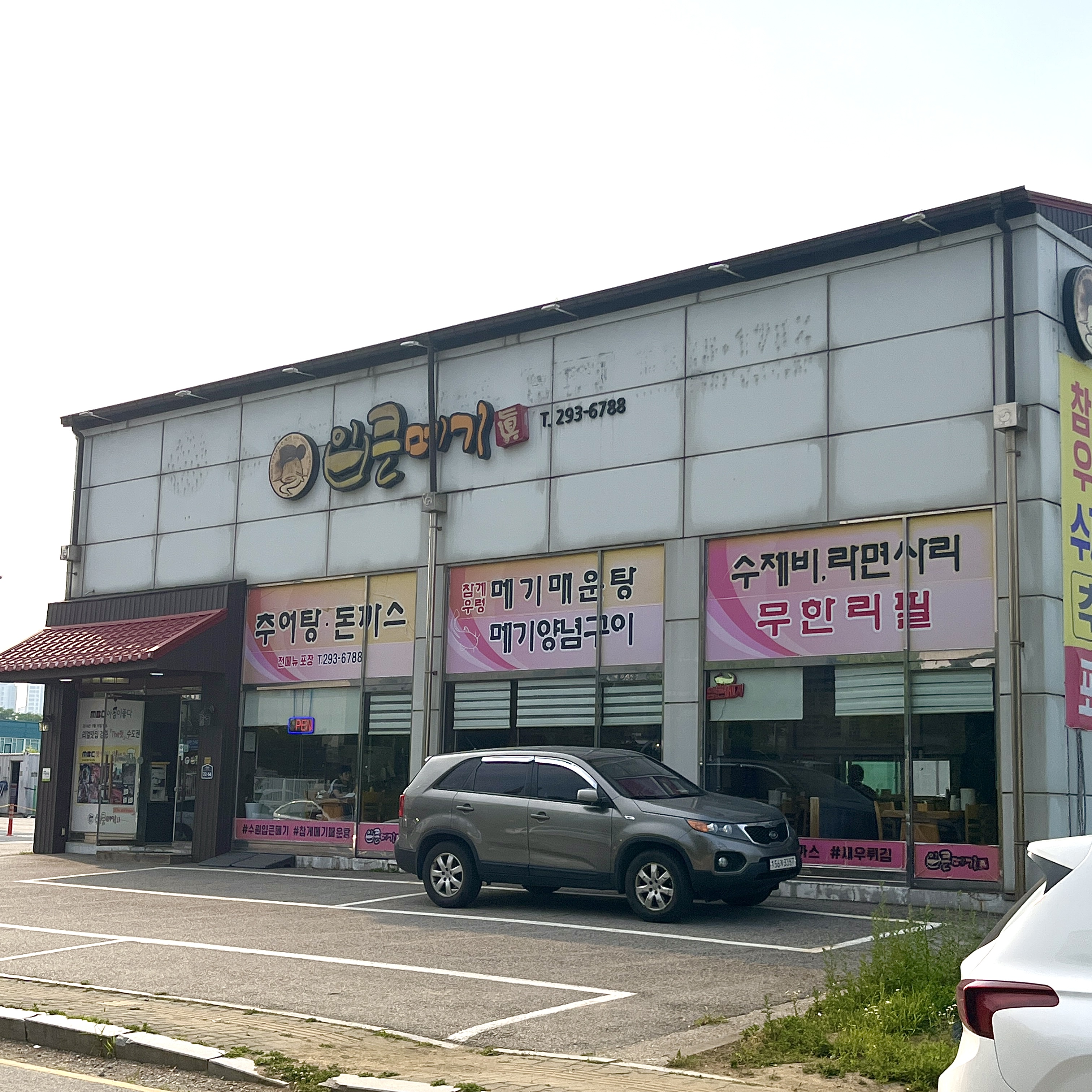 입큰메기 사진 3