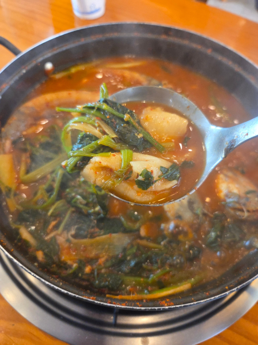 입큰메기 사진 5