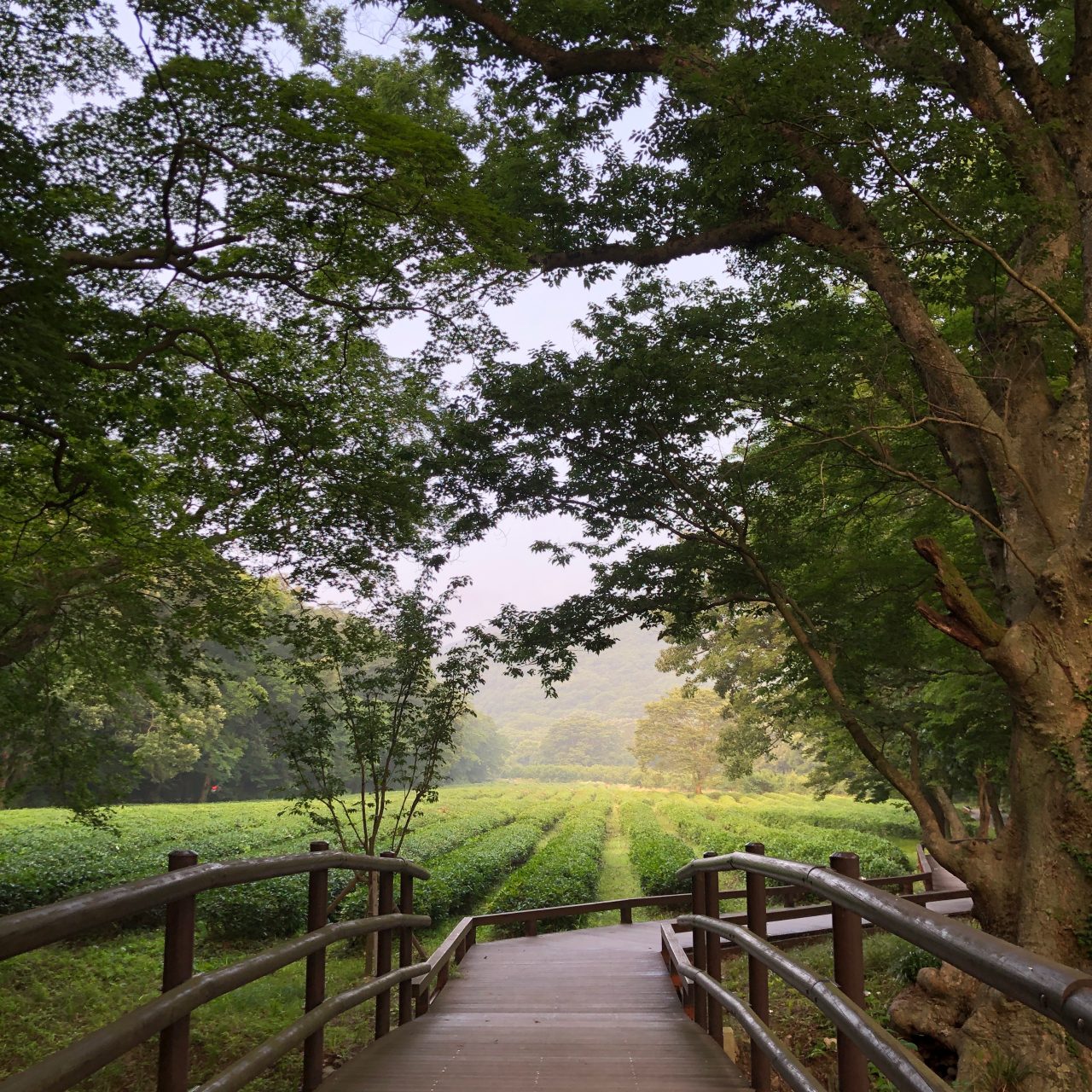 선운사 템플스테이 사진