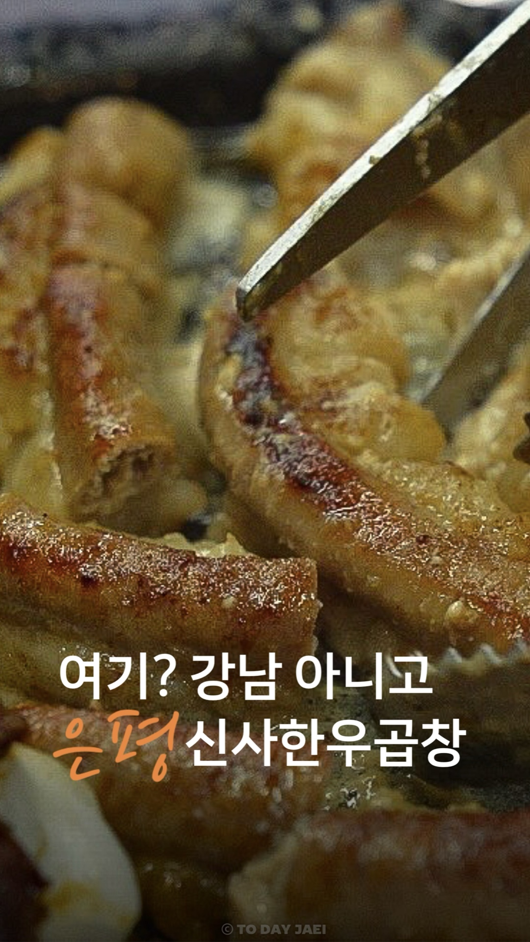 신사한우곱창 사진 2