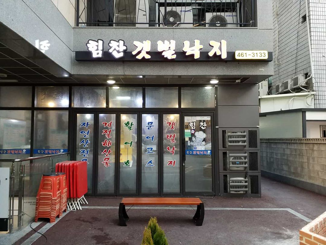 힘찬갯벌낙지 사진