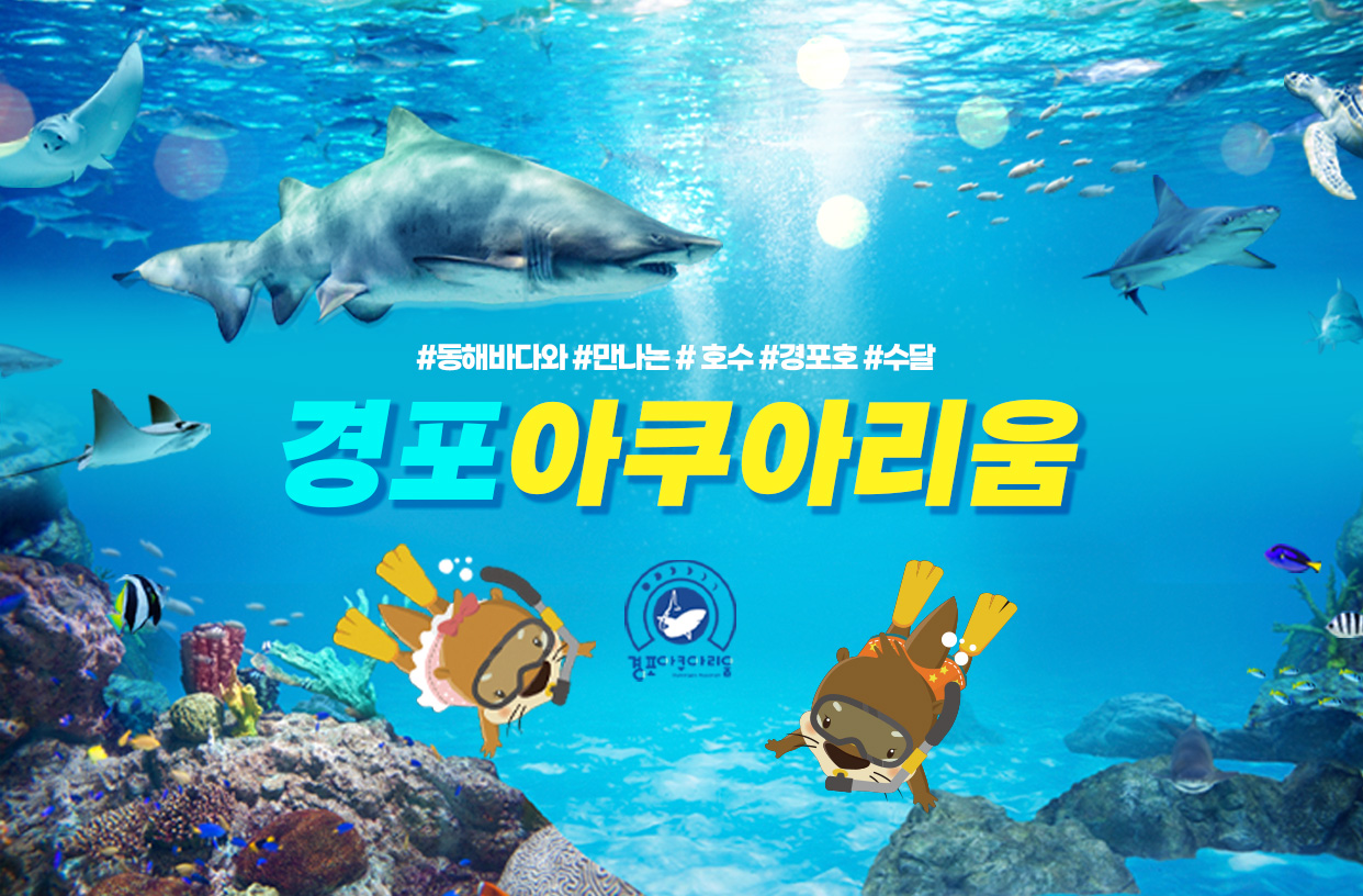 경포아쿠아리움 사진 1