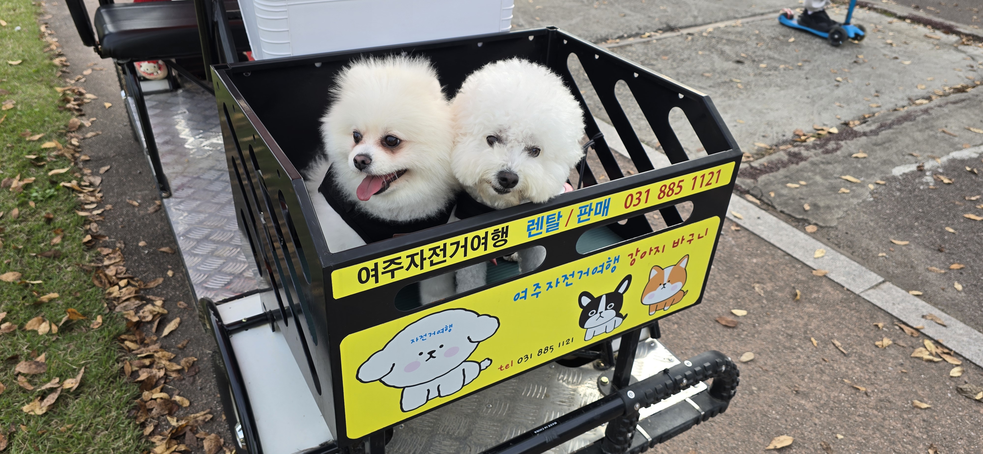 여주자전거여행 사진 2