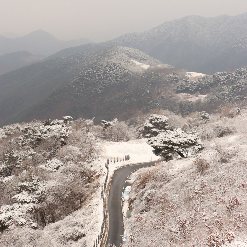 카페산 사진 5