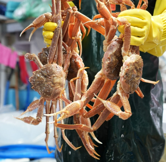 유진수산 사진 5