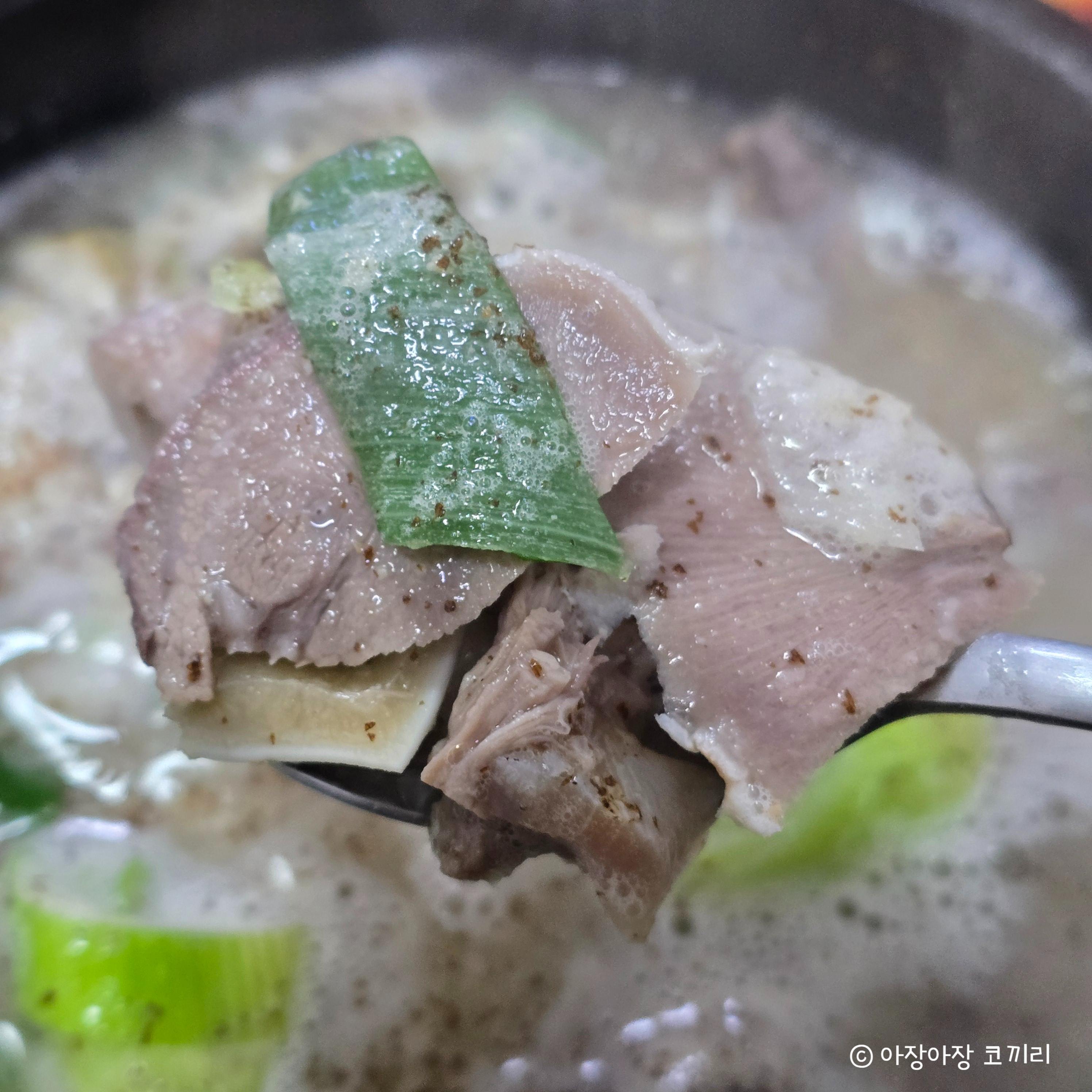고흥집 사진 5