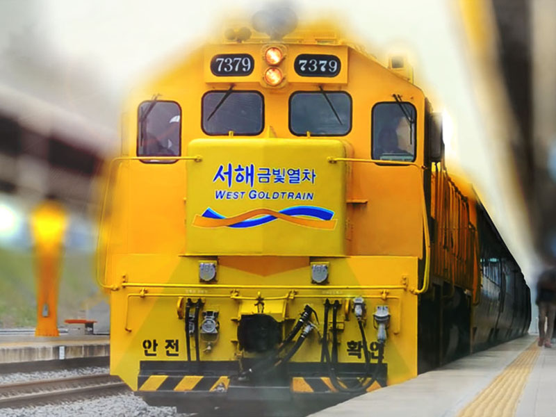 스타투어 사진