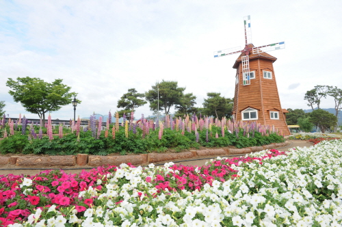 곡성 세계장미축제 사진