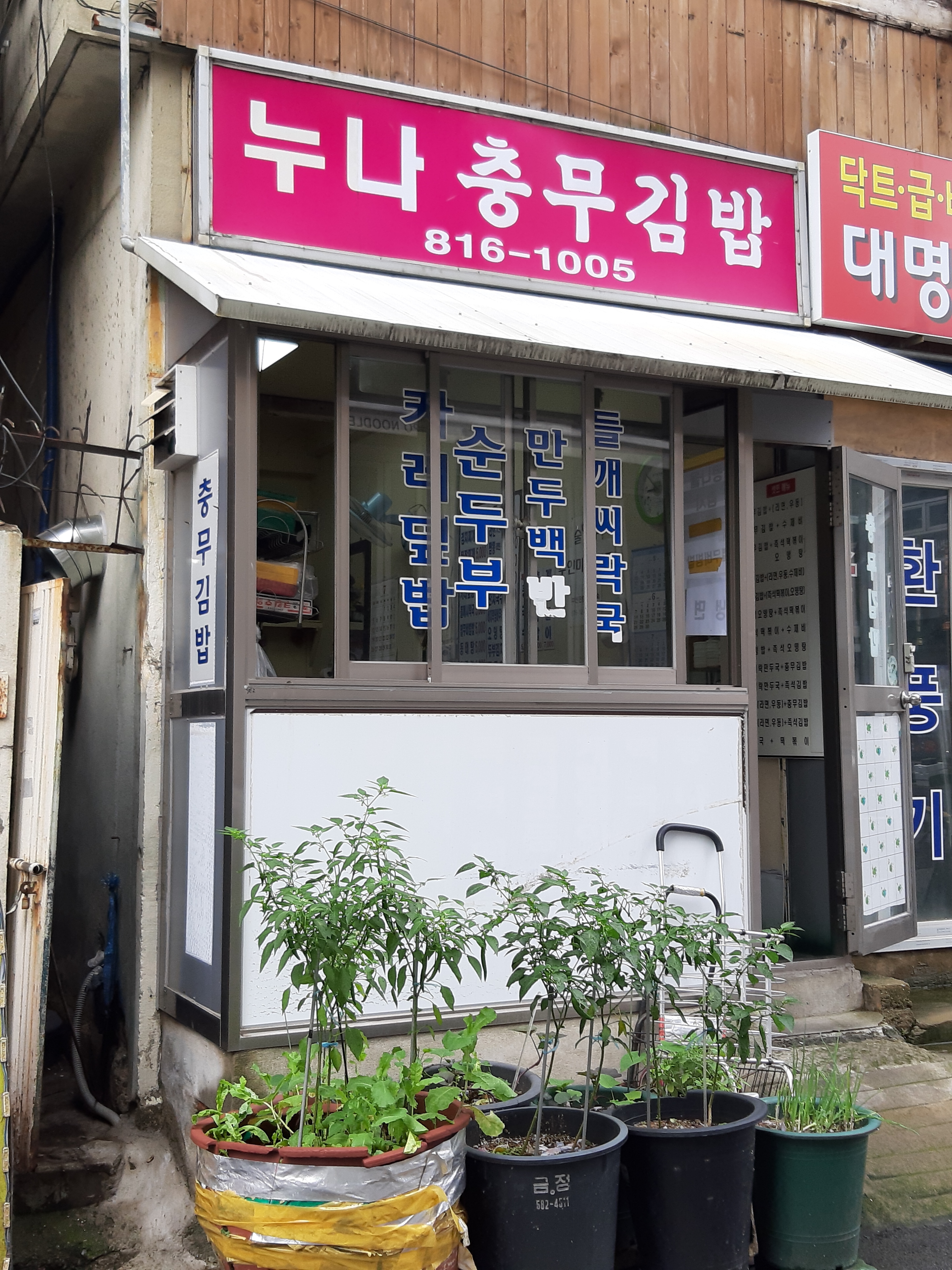 누나충무김밥 사진 2