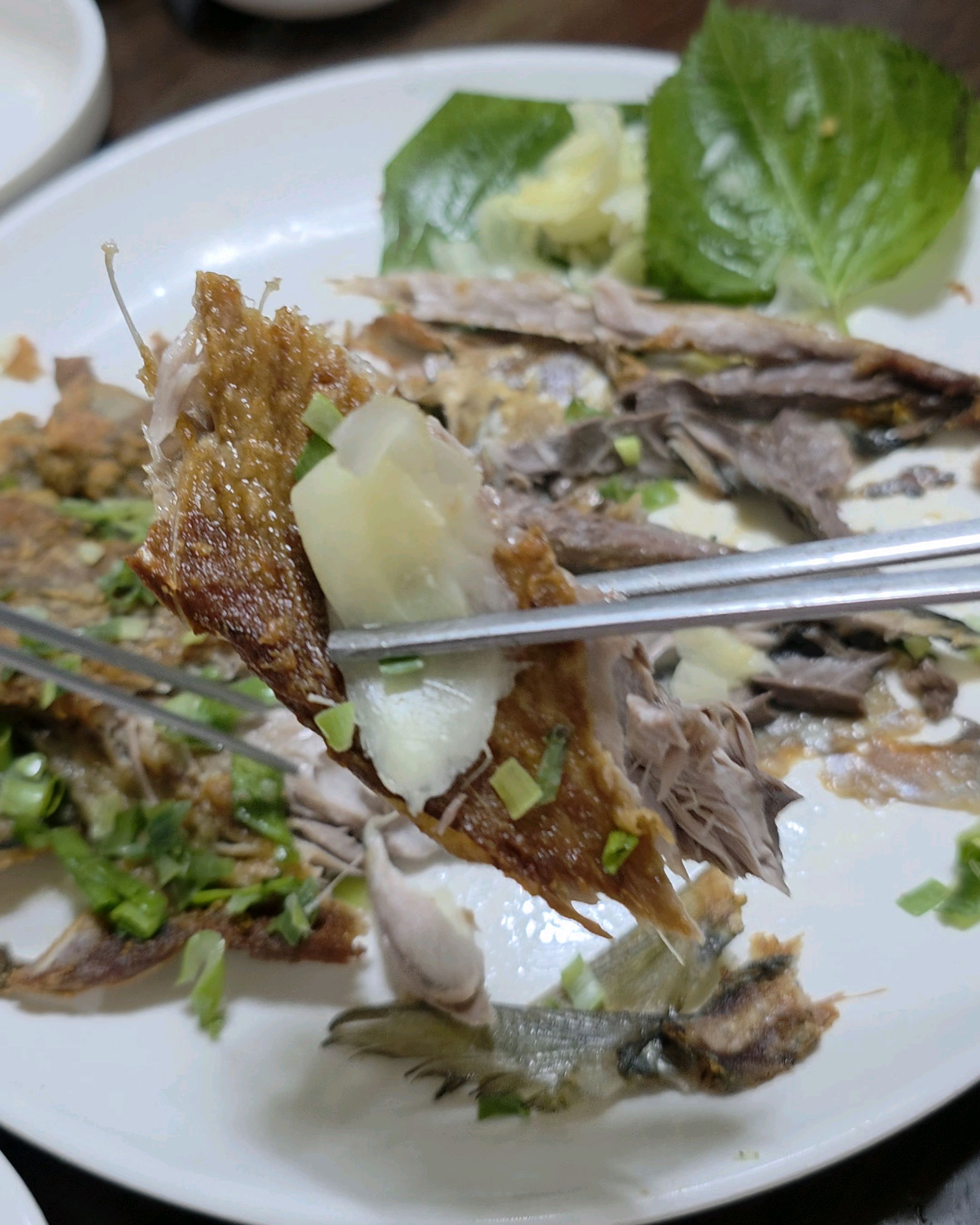 뚝길따라 사진 4
