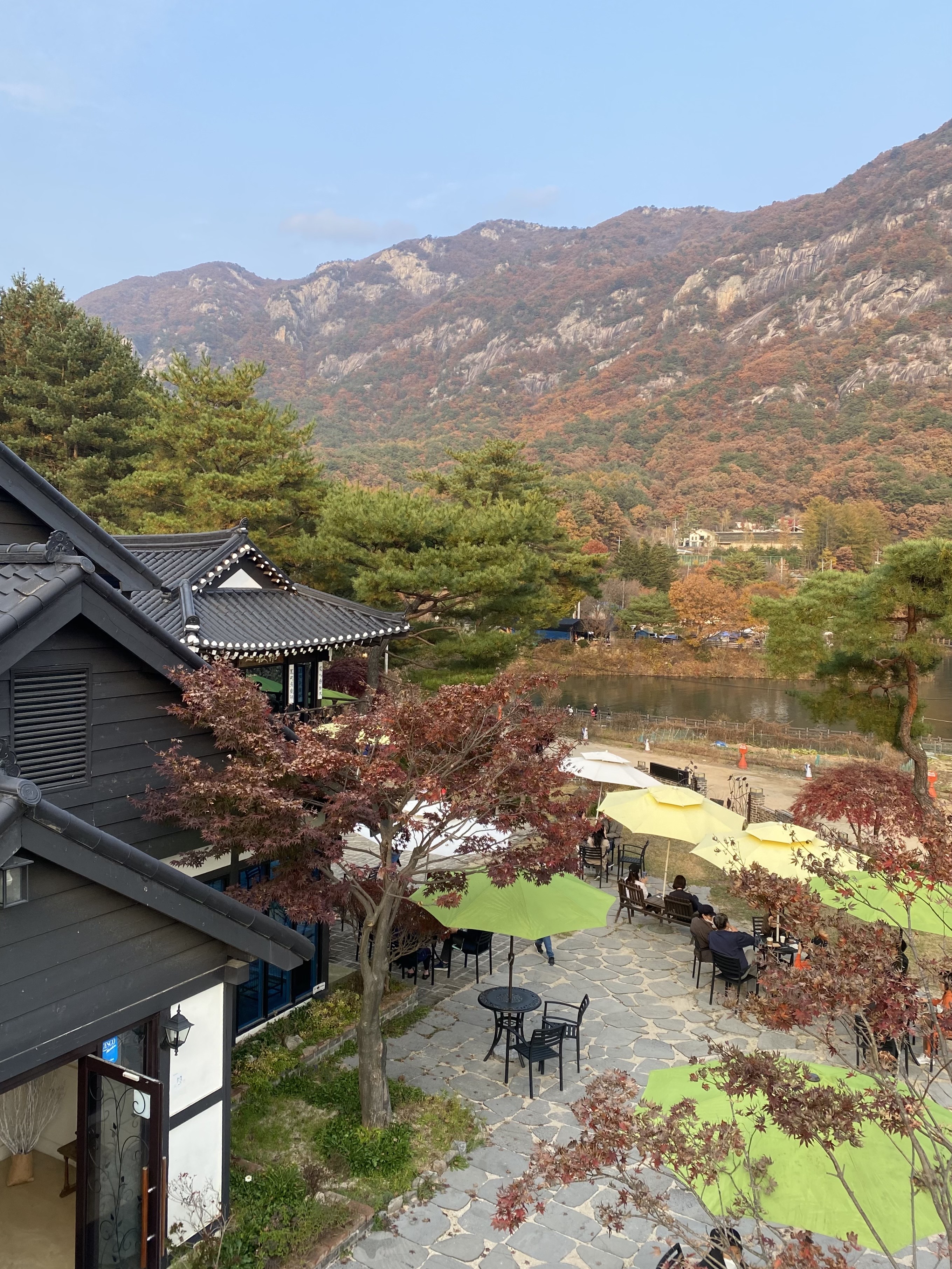가비가배 사진 3