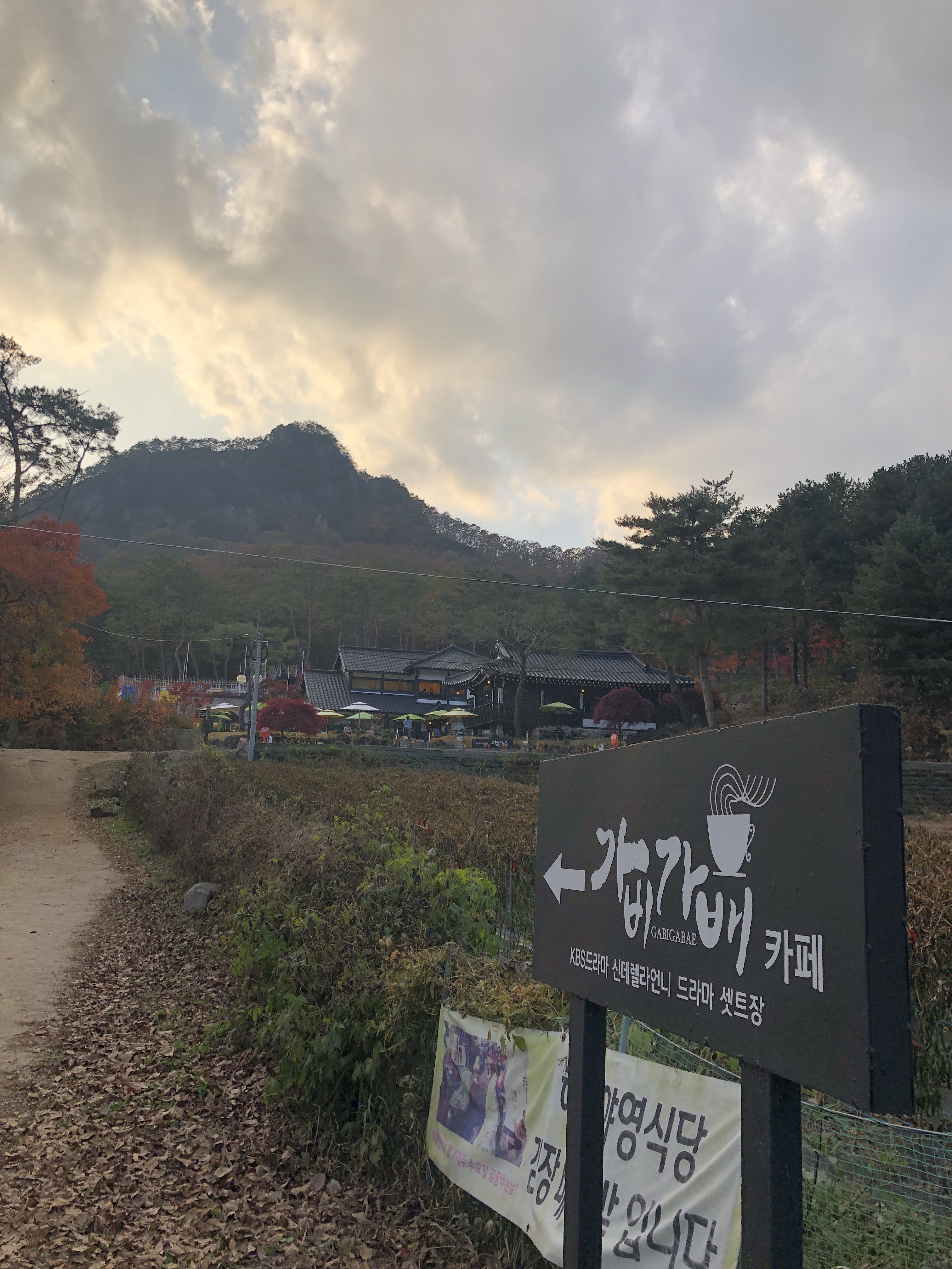 가비가배 사진 4