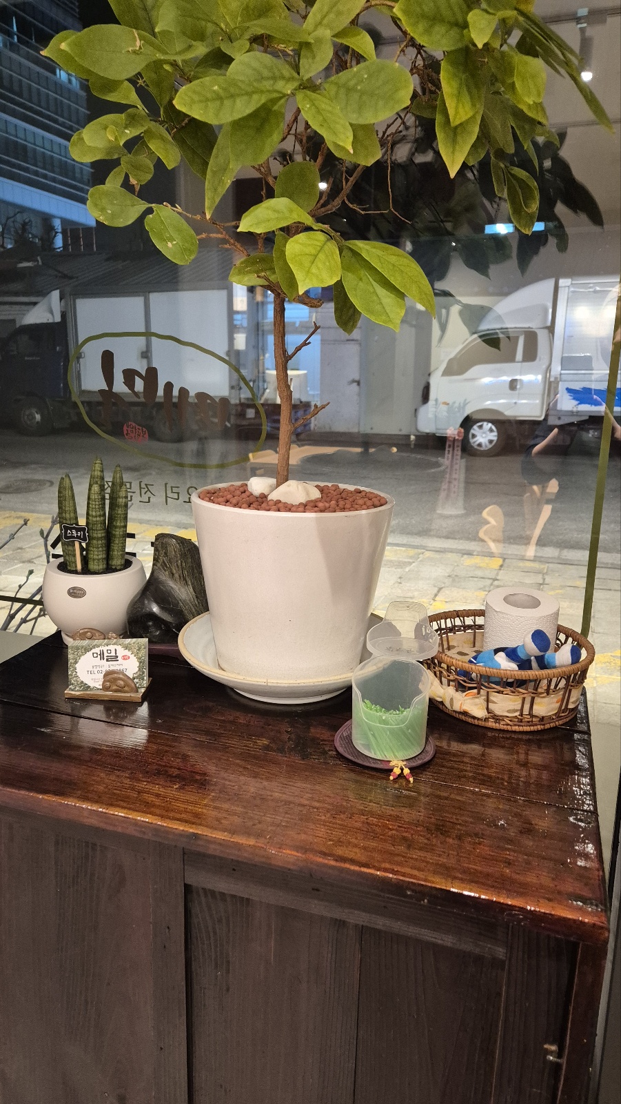 메밀봉평막국수 사진 3