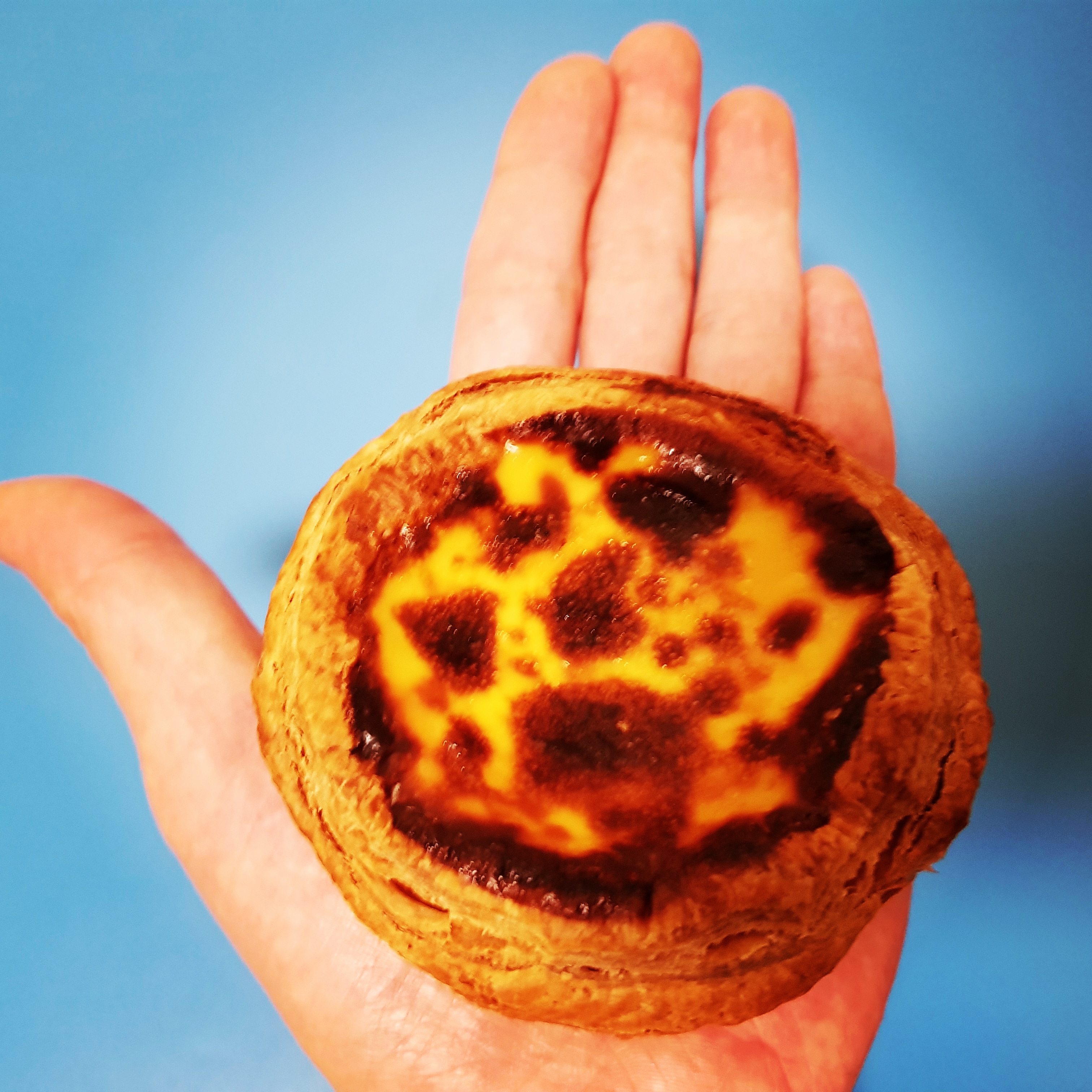 타르트킹 사진 1