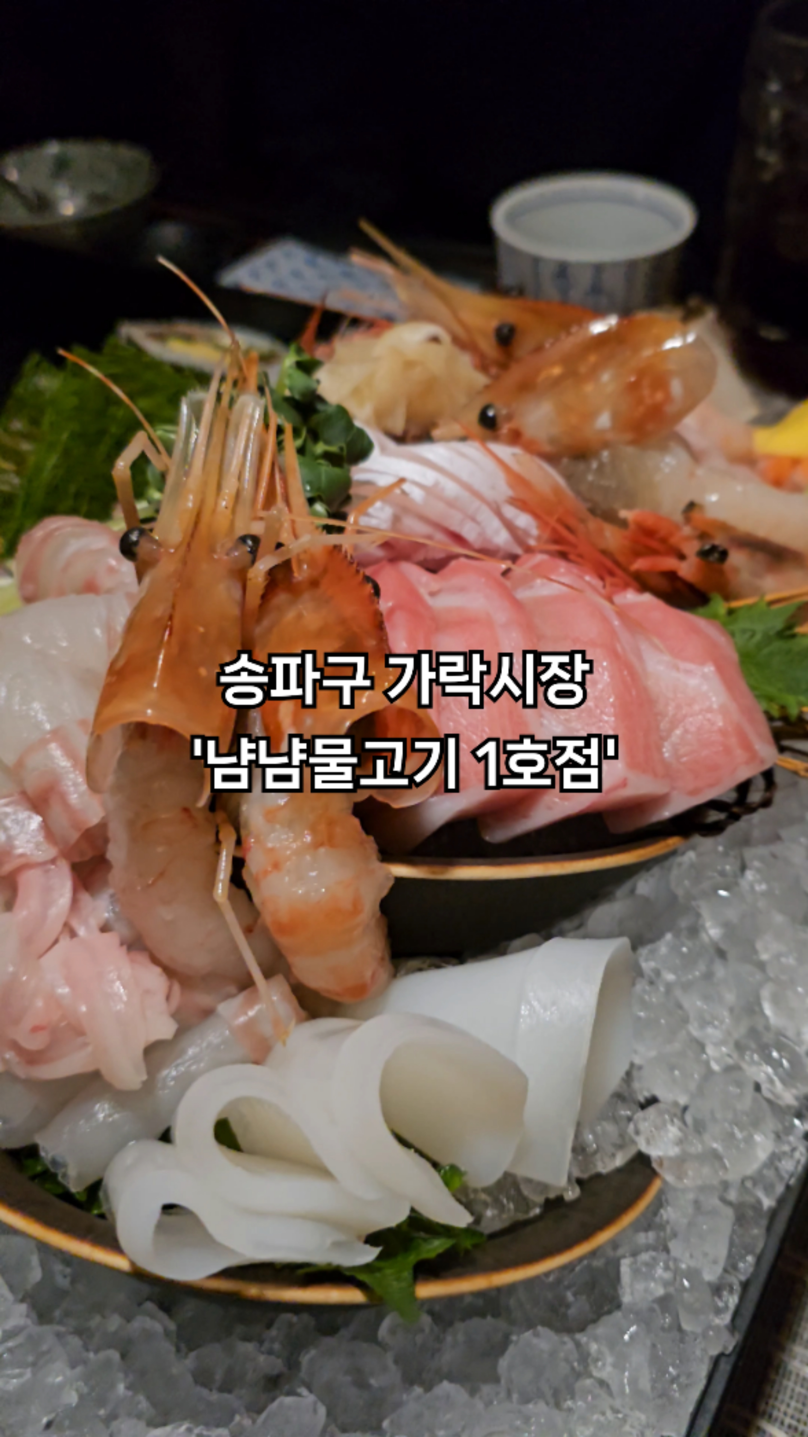 냠냠물고기 사진 2