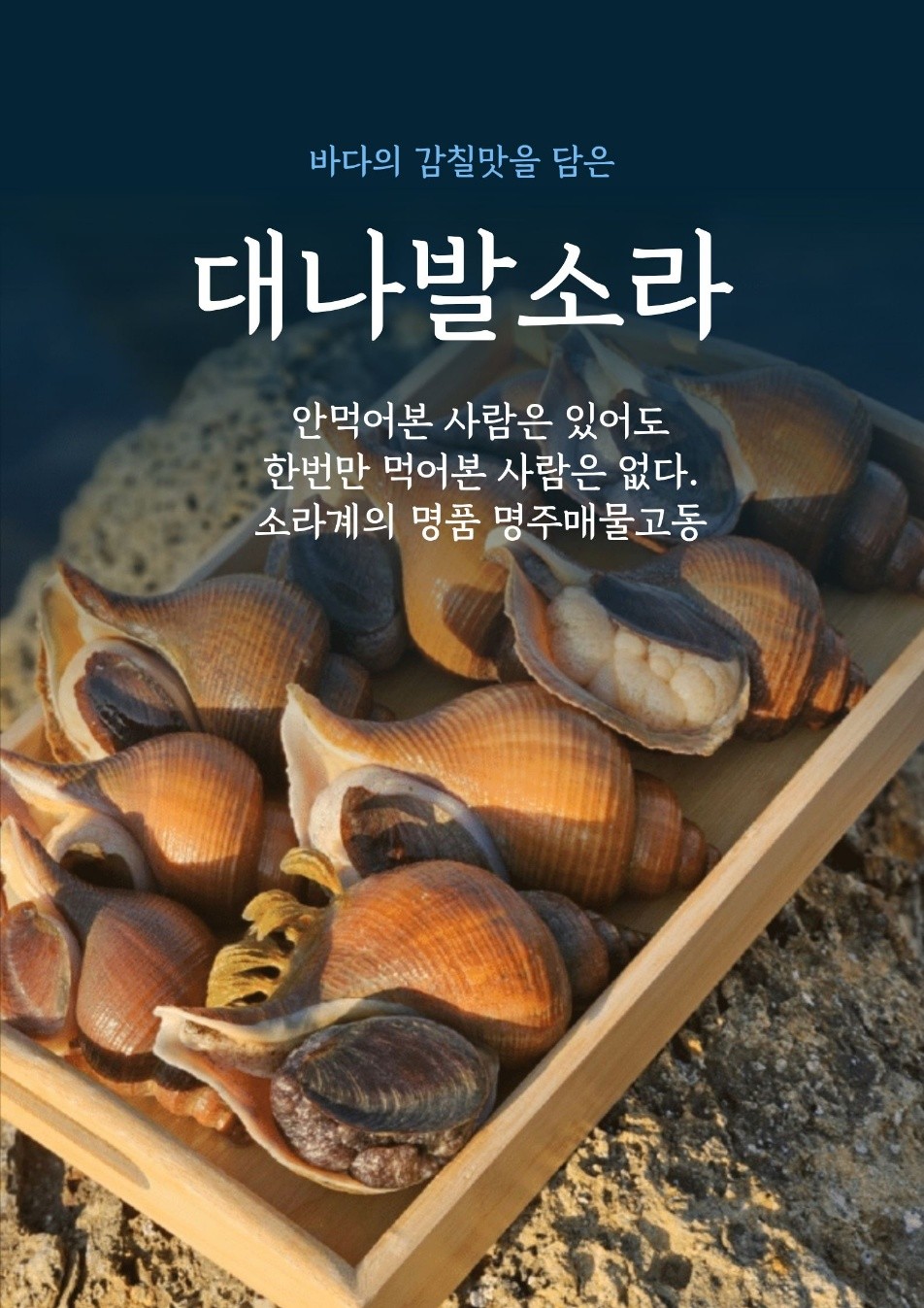 목동해물 사진 1