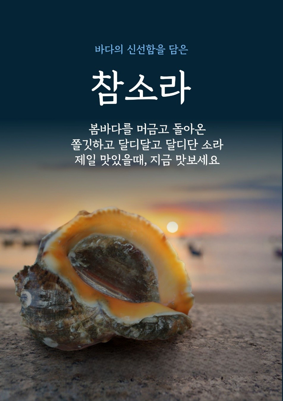 목동해물 사진 3