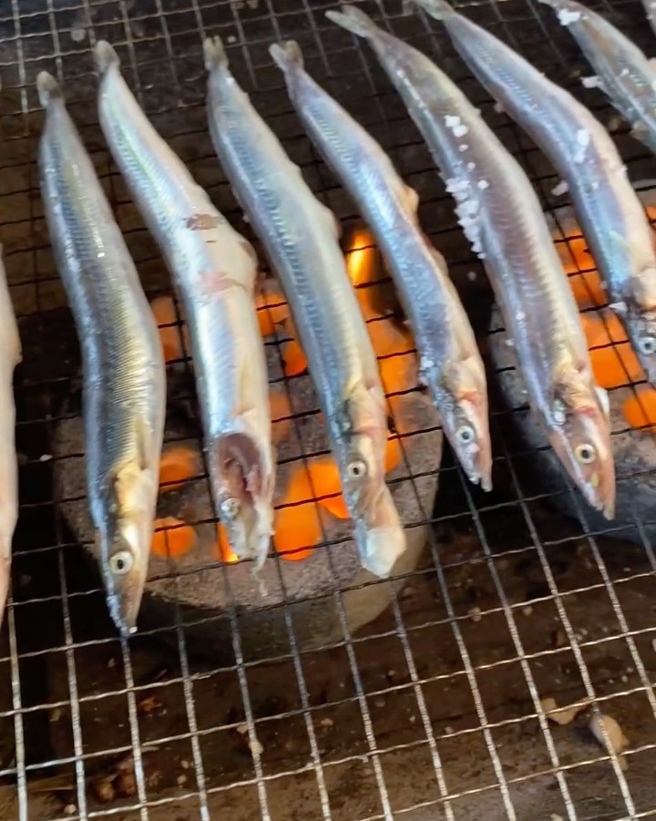 동명항오징어난전 사진 4