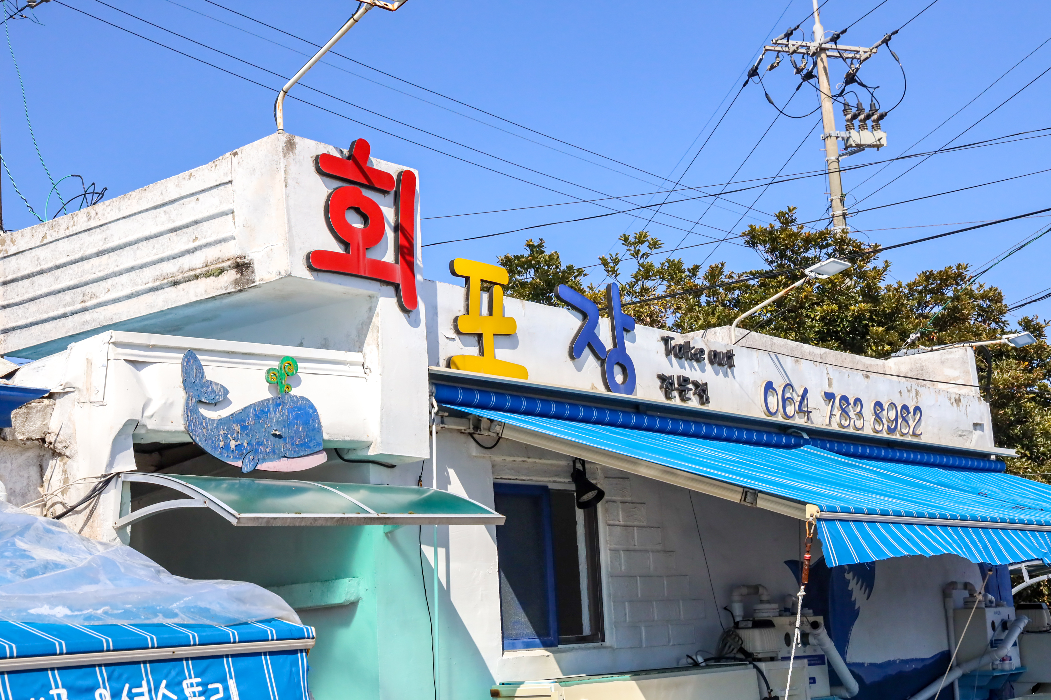 제주 오션스토리 사진 2