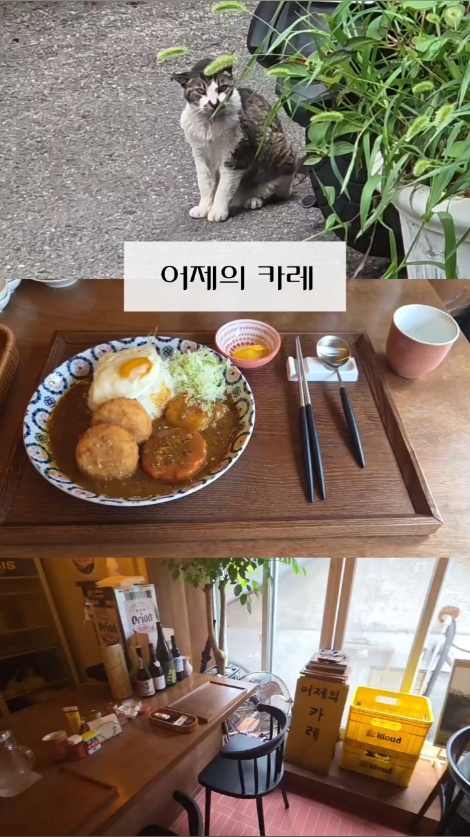 어제의카레 사진 2