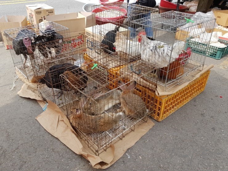 김포장 사진 2