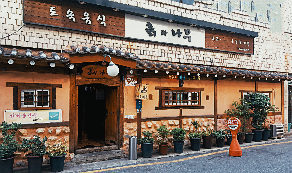 흙과나무 사진