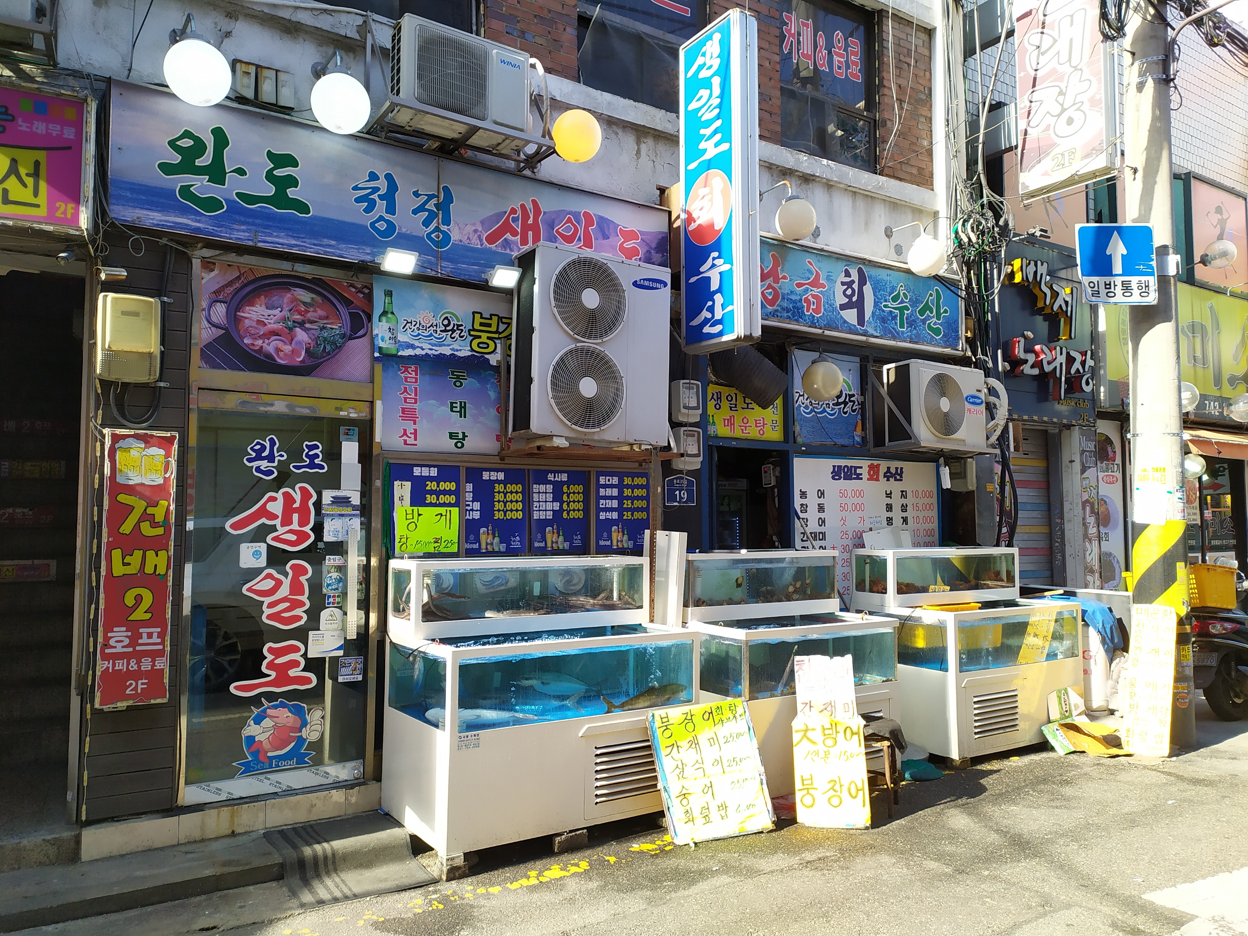 생일도수산 사진 1