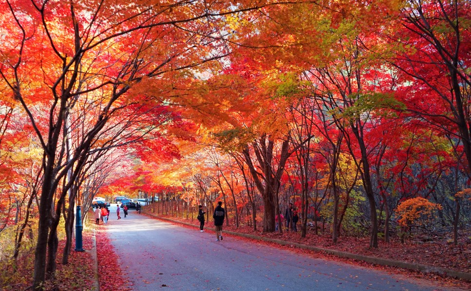 필례 게르마늄 온천 사진 2