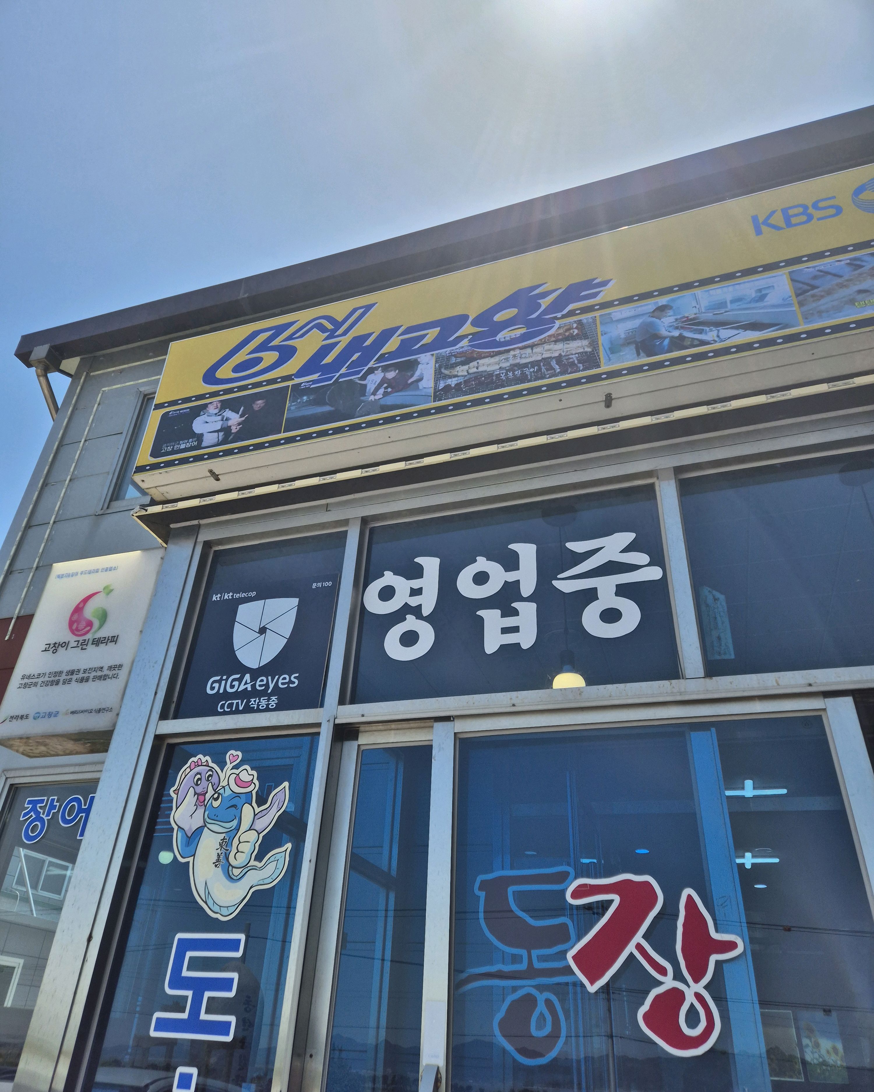 동선장어 사진 4