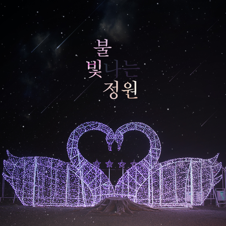 제주불빛정원 사진 1