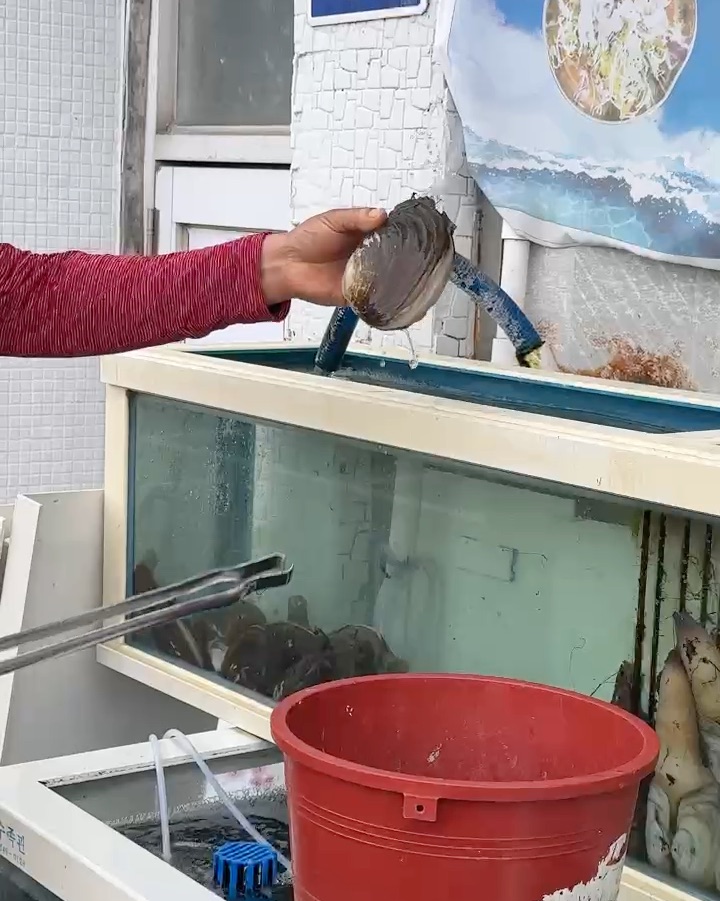 멕시칸회식당 사진 5