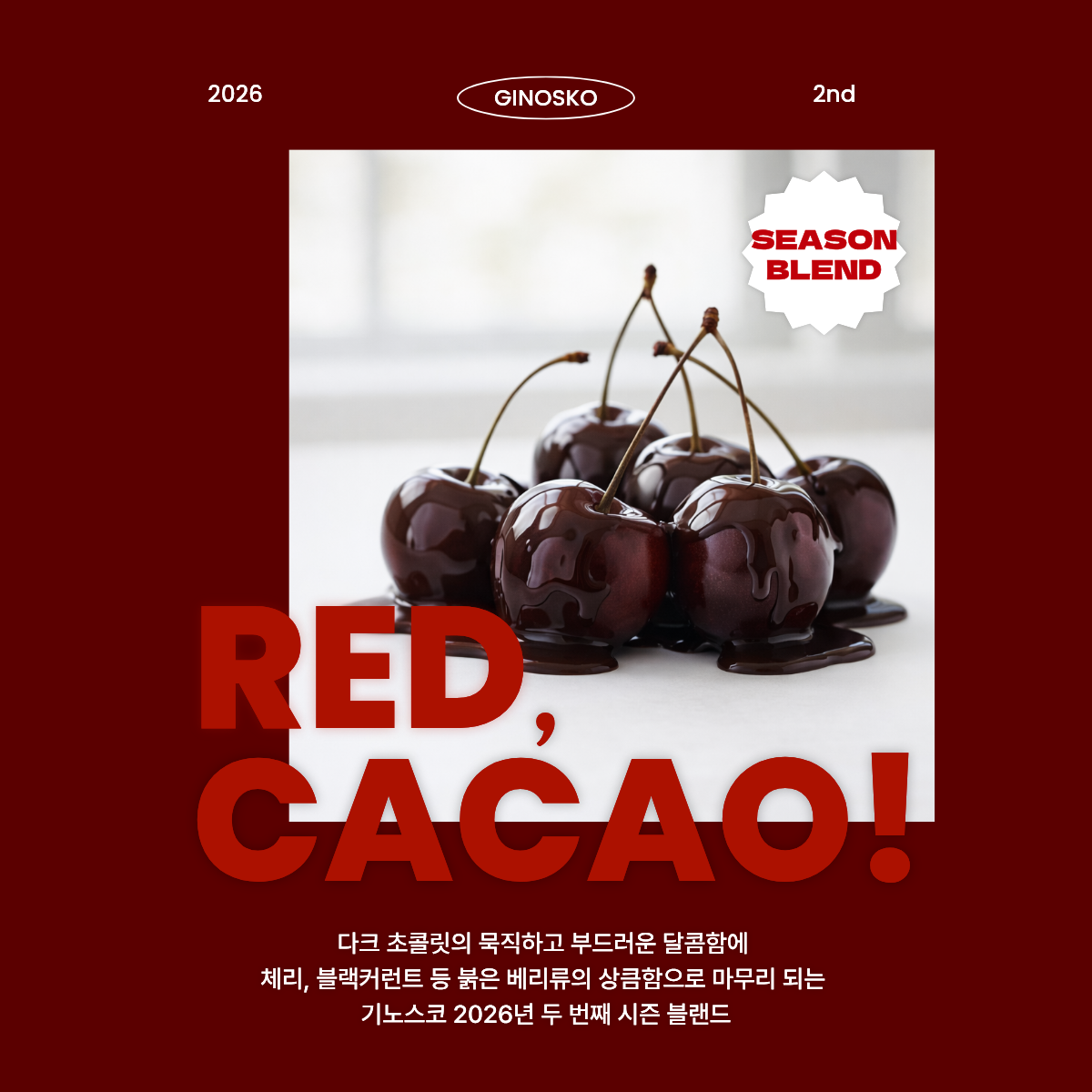 기노스코 사진 4