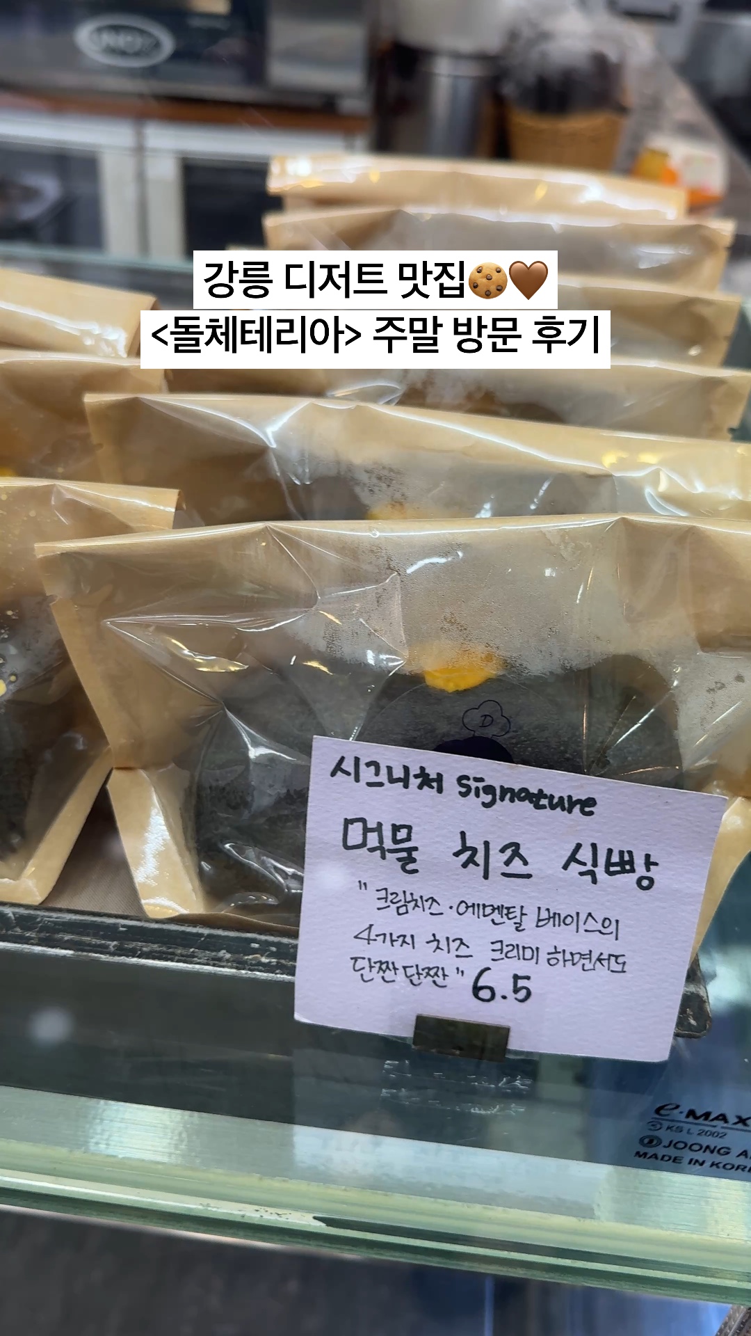 돌체테리아 사진 2